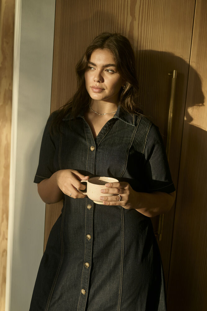 Mally Denim Dress