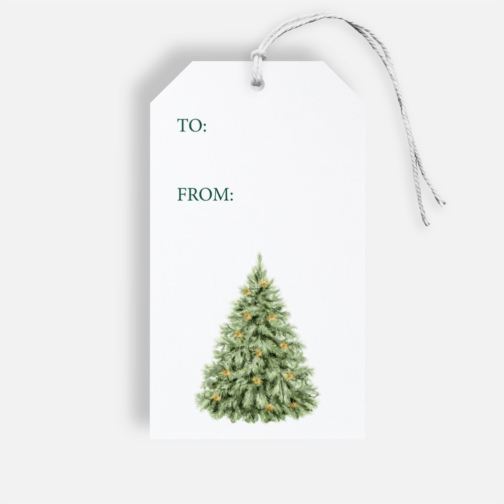 Christmas Tree Gift Tag Box Set