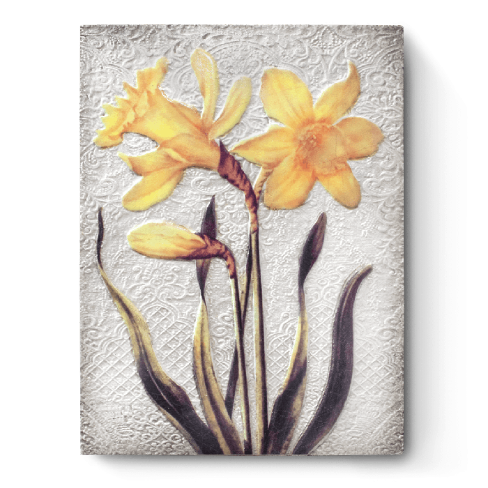 T510 Daffodils (R)